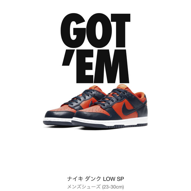 【27㎝】NIKE DUNK LOW SP Champ Colors 1