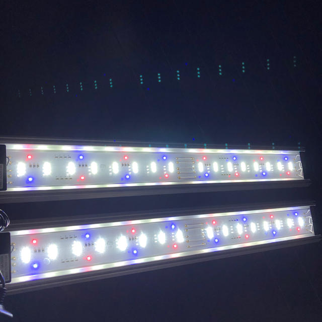 熱帯魚用LEDライト