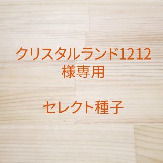 クリスタルランド1212様専用　セレクト種子　11袋(野菜)