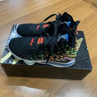 NIKE Lebron ⅩⅦ ナイキ レブロン 17 美品