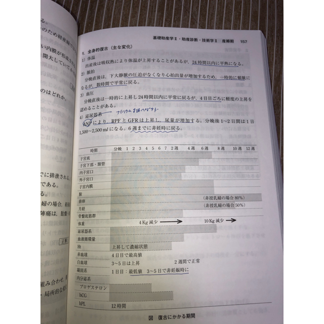 助産師国家試験予想問題 ここがポイント助産師国家試験突破のコツ ２０２０ エンタメ/ホビーの本(資格/検定)の商品写真