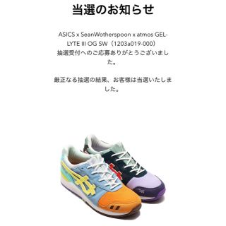 アシックス(asics)のASICS x SeanWotherspoon アシックス　28.5cm(スニーカー)