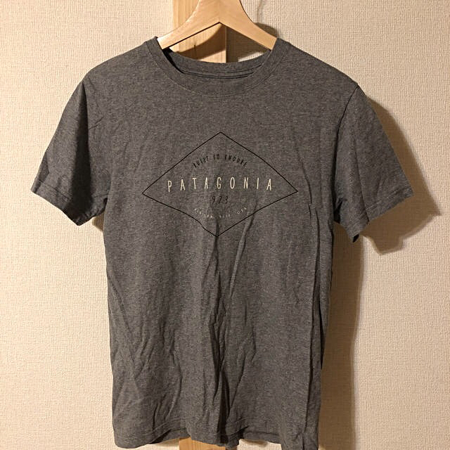 patagonia(パタゴニア)の2点　SIB様専用出品 レディースのトップス(Tシャツ(半袖/袖なし))の商品写真