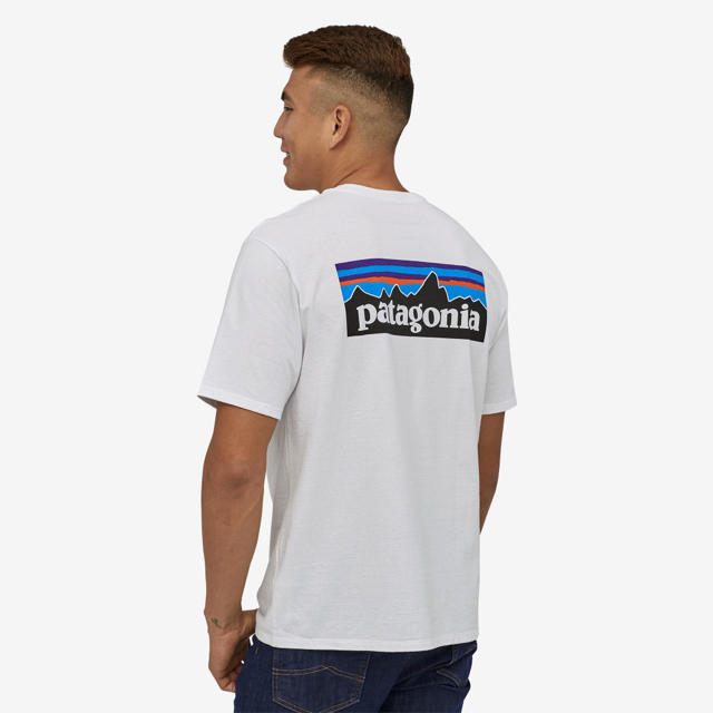 パタゴニア Tシャツ 2