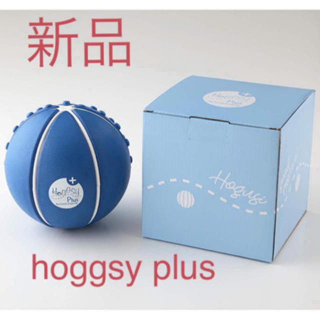 《新品未使用》HoggsyPlus（ホグッシープラス）村田友美子トレーニング/エクササイズ