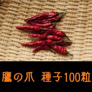 鷹の爪（たかのつめ）種子１００粒　固定種　唐辛子　とうがらし　栽培用(野菜)