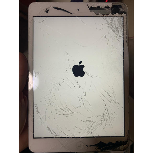 iPad mini2