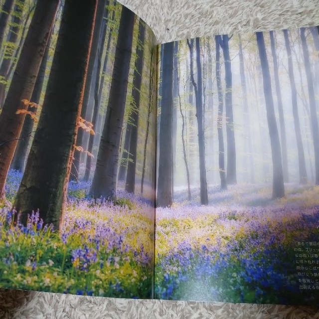 世界幻想とファンタジーの情景 エンタメ/ホビーの本(アート/エンタメ)の商品写真