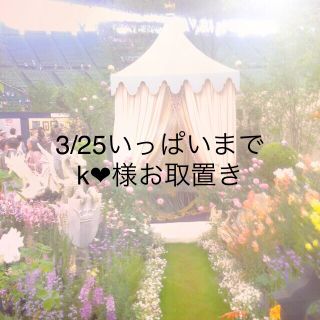 k❤︎様お取置25日まで☆リボンミニ財布(財布)