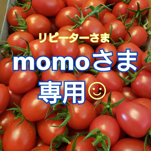 ２㎏ momoさま専用です☺️ ミニトマト 食品/飲料/酒の食品(野菜)の商品写真