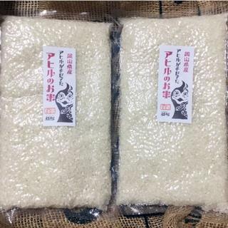 元年度岡山県備前市産「アヒルのお米」お得！3合×2パック：白米(米/穀物)