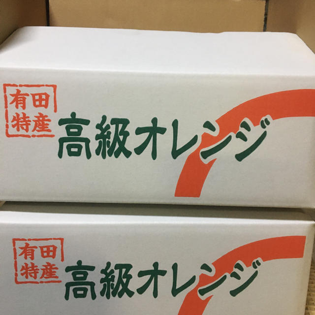 食品2箱セット　バレンシアオレンジ  LL 5kg 送料無料有田みかん　お中元贈答用