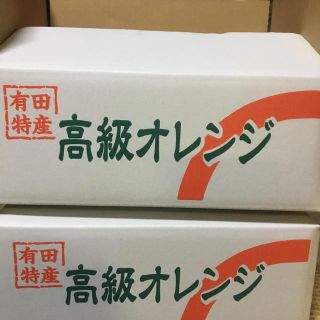 2箱セット　バレンシアオレンジ  LL 5kg 送料無料有田みかん　お中元贈答用(フルーツ)