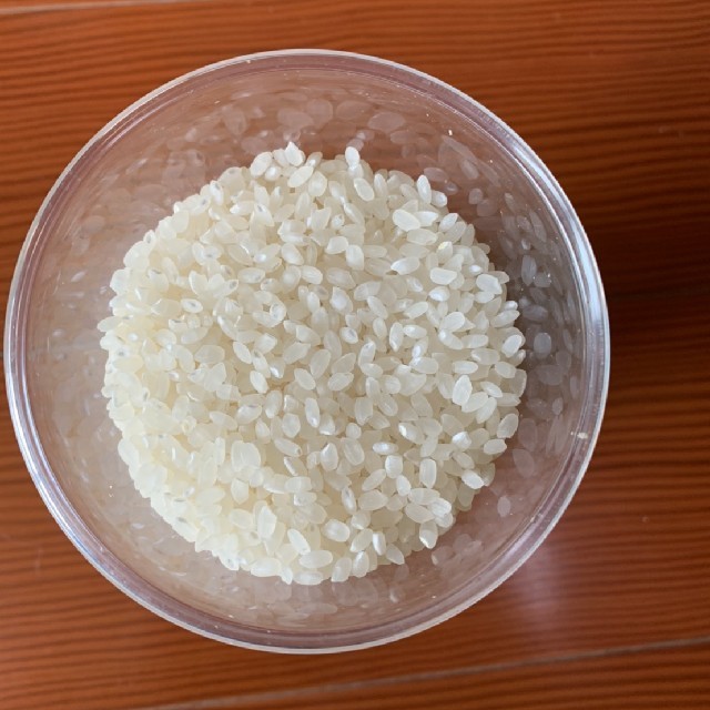 近江米 キヌヒカリ お米 玄米 白米 精米 米 ご飯 飯 送料込 20㎏