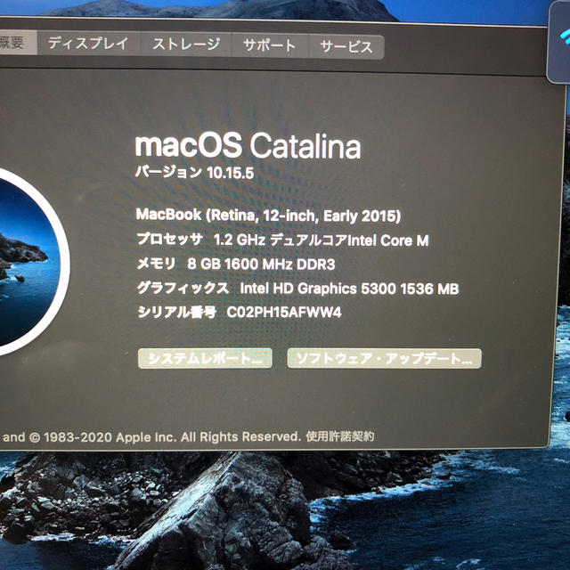 Macbook 12インチ Early 2015 1