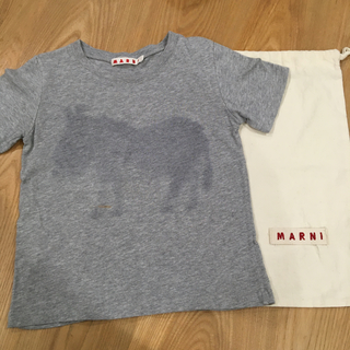 マルニ 子供 Tシャツ/カットソー(男の子)の通販 14点 | Marniのキッズ 