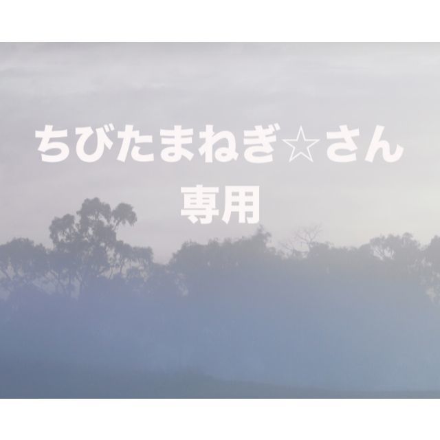 ちびたまねぎ☆さん専用！　オリジナルオーダーメイドセット　送料無料 食品/飲料/酒の食品(調味料)の商品写真