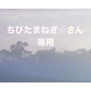 ちびたまねぎ☆さん専用！　オリジナルオーダーメイドセット　送料無料(調味料)