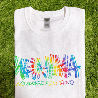 WANIMA（ワニマ）カミナッチャ　ツアーTシャツ　Lサイズ(Tシャツ/カットソー(半袖/袖なし))
