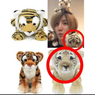 京本大我 とら ぬいぐるみの通販 ラクマ 京本大我 とら ぬいぐるみの通販 ラクマ