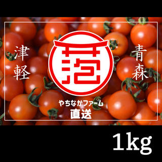 ☘️農学博士の【Dr.トマト】☘️1kg詰め合わせ   青森県津軽産ミニトマト(野菜)