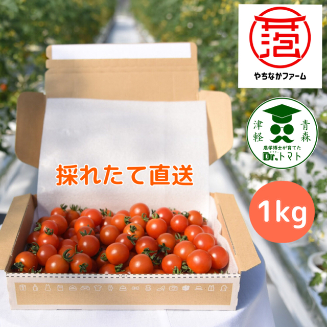 ☘️農学博士の【Dr.トマト】1kg詰め合わせ   青森県津軽産ミニトマト 食品/飲料/酒の食品(野菜)の商品写真