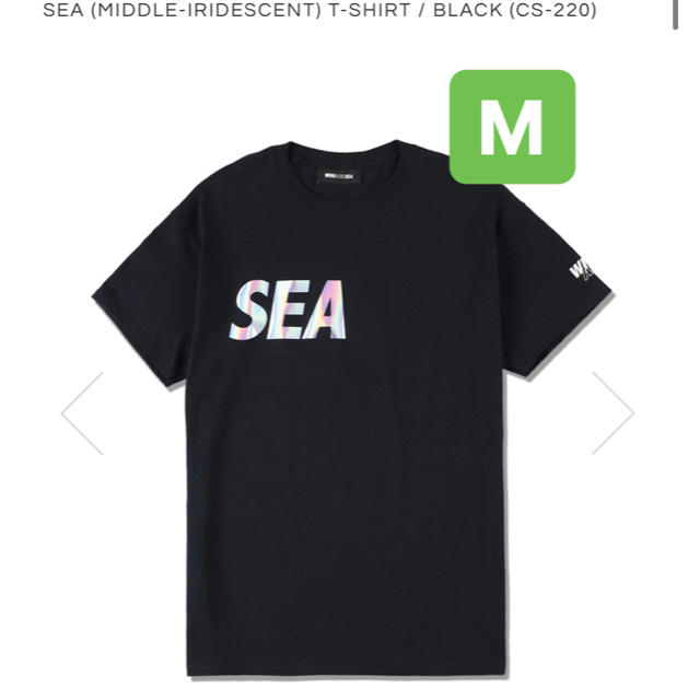 【冬バーゲン★特別送料無料！】 【Mサイズ】wind tee logo sea and Tシャツ/カットソー(半袖/袖なし)