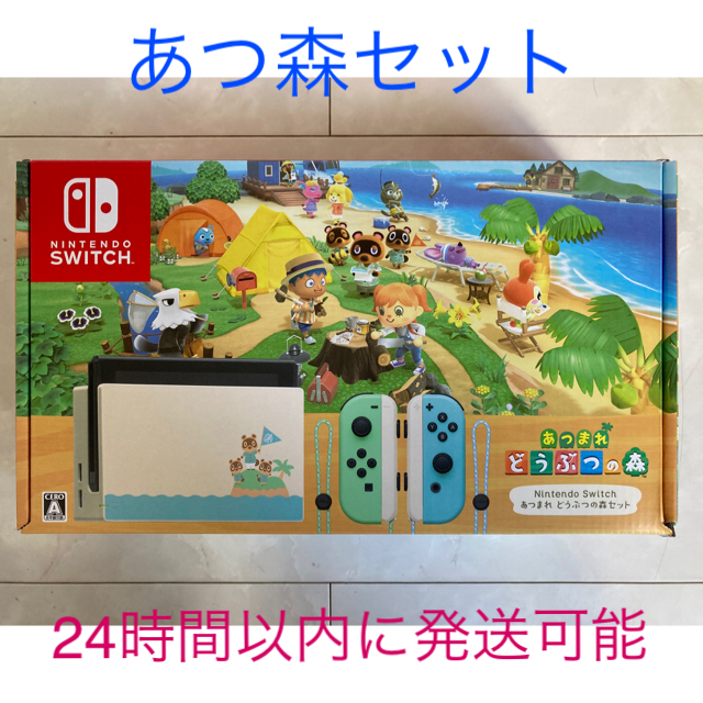 Nintendo Switch あつまれどうぶつの森 セット