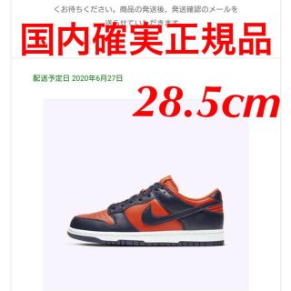 NIKE dunk ダンク　28.5cm チャンプ　国内確実正規品(スニーカー)