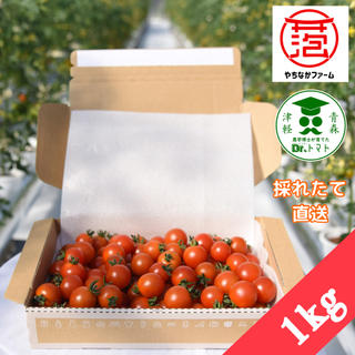 ☘️農学博士の【Dr.トマト】1kg詰め合わせ   青森県津軽産ミニトマト(野菜)