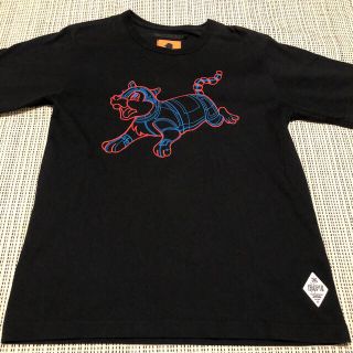 ステューシー(STUSSY)の美品　別注　NEXUS7×ARTYZ ドッグT 黒　サイズM(Tシャツ/カットソー(半袖/袖なし))