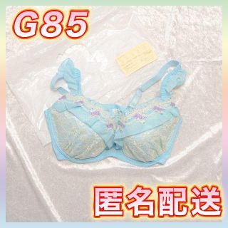 ニッセン(ニッセン)のG85ニッセンブラ(ブルー)-NI090B(ブラ)