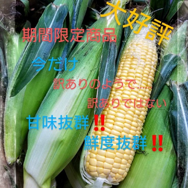 再出品🌽限定１０件🌽 食品/飲料/酒の食品(野菜)の商品写真