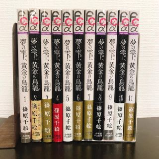 夢の雫、黄金の鳥籠 １から１１巻(少女漫画)