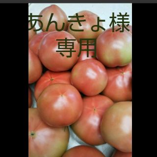 王様トマト(麗夏)4㎏(野菜)