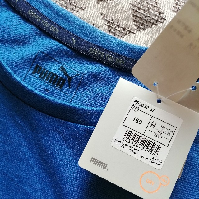 PUMA(プーマ)のPUMA　Ｔシャツ　青　160センチ キッズ/ベビー/マタニティのキッズ服男の子用(90cm~)(Tシャツ/カットソー)の商品写真