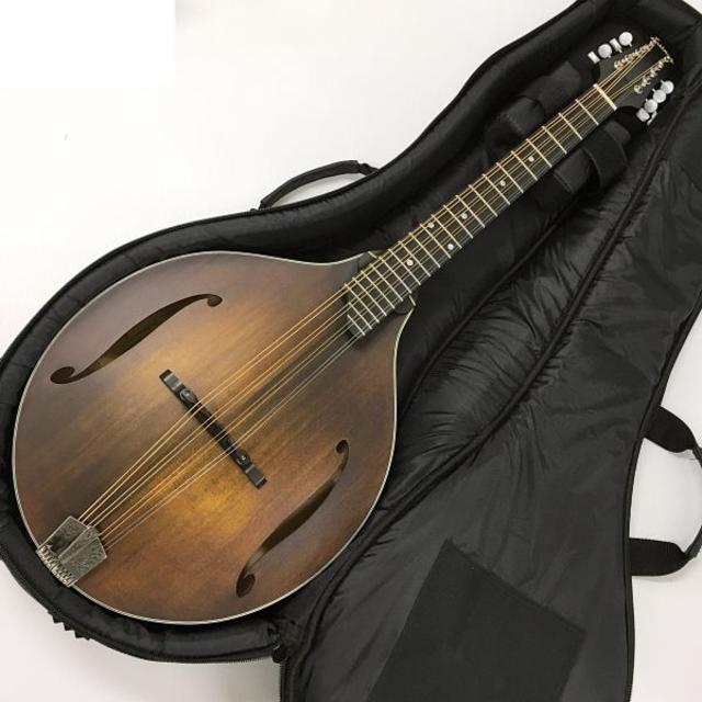 Eastman イーストマン オクターブマンドリン MDO-305 ケース付