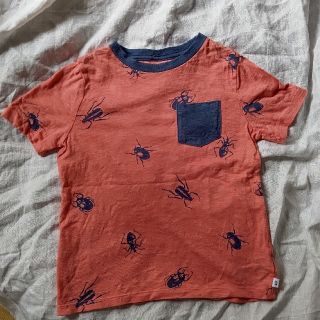 ギャップキッズ(GAP Kids)のGAP KIDS Tシャツ  昆虫  (Tシャツ/カットソー)