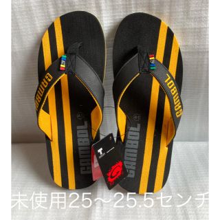 ハワイアナス(havaianas)の未使用ビーチサンダル黒25〜25.5センチ(ビーチサンダル)