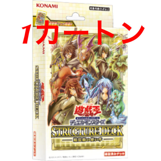 遊戯王　デュエルモンスターズ ストラクチャーデッキ 精霊術の使い手　1カートン