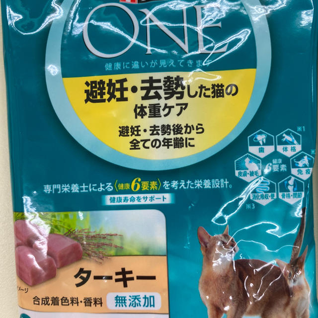 Nestle(ネスレ)のピュリナワン 猫 サンプル2袋 その他のペット用品(猫)の商品写真