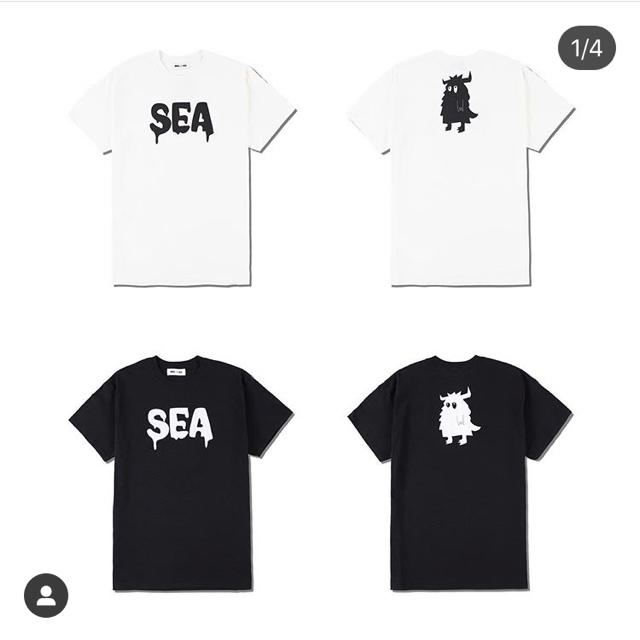 wind and sea TシャツTシャツ/カットソー(半袖/袖なし)