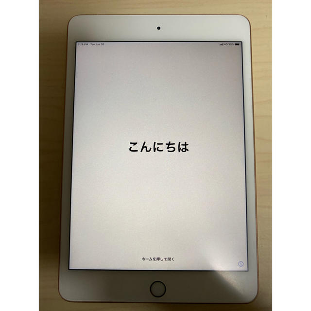 iPad mini5 256GB docomo SIMロック解除済