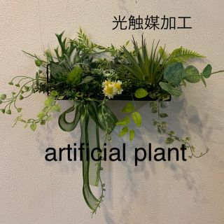 光触媒加工　抗菌消臭ウォールグリーン　ラック(その他)