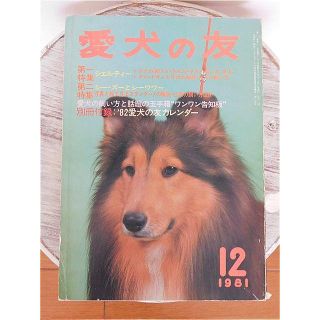 愛犬の友１９８１年１２月号(趣味/スポーツ)