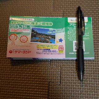東京サマーランド 株主優待(遊園地/テーマパーク)