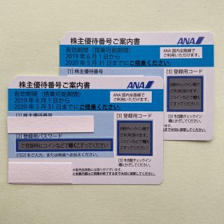 エーエヌエー(ゼンニッポンクウユ)(ANA(全日本空輸))のANA 株主優待券(その他)