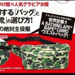 アベイシングエイプ(A BATHING APE)の希少　レア　エイプ　ウエストポーチ　APE BAPESTAR SHARK (ウエストポーチ)