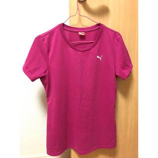 プーマ(PUMA)のプーマ　Ｔシャツ　半袖　ピンク　スポーツ(Tシャツ(半袖/袖なし))