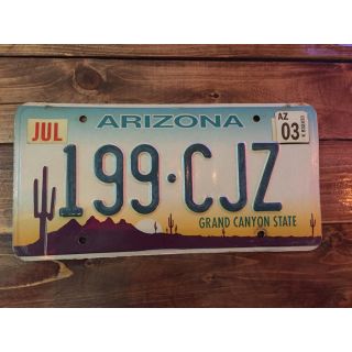 USED★ARIZONA★ナンバープレート(その他)